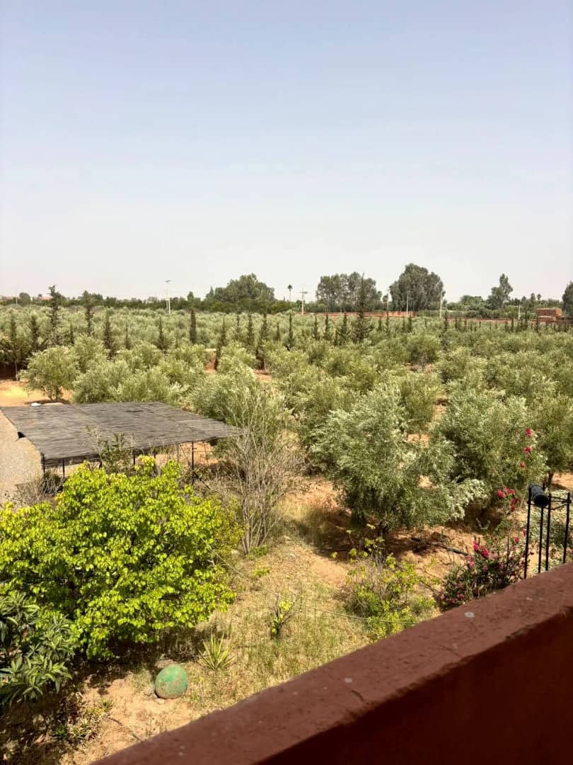 PURE MERVEILLE A VENDRE
Villa contemporaine avec volumes spectaculaires – 250 m² 🔥🇲🇦
Marrakech – AL MAADEN